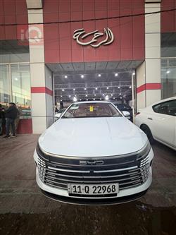 بي واي دي ديستروير 05